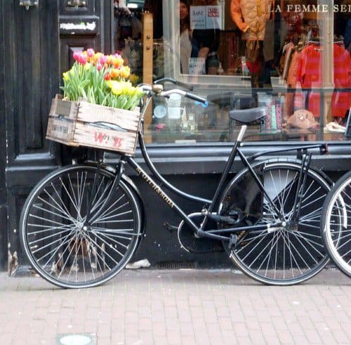 Auch ein Stellplatz Amsterdam Tulpenrad